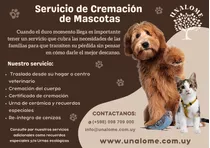 Servicio De Cremación Para Mascotas - Unalome