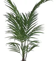 Plama Areca Artificial 120cm