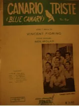Canario Triste  Versión Castellana Ben Molar (blue Canary)