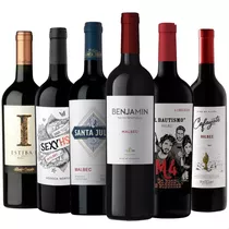 Vinos Malbec Benjamin + Santa Julia Combo X6 - 01almacen