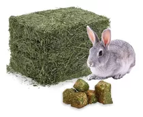 Pack Heno Alfalfa 2 Kg + Cubo Alfalfa 2 Kg Para Roedores