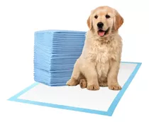 Pañal Entrenamiento Sabanilla Baño Perro 33x45cm (100uni)