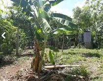 Te Vendo Finca De 1600 Tareas En Montecristy