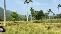 Te Rentó Una Hermosa Finca En Guaco La Vega 