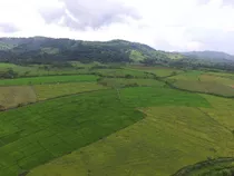 Te Vendo Excelente Terreno En Barahona