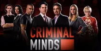 Criminal Minds - As 14 Temporadas Dubladas Com Caixinhas