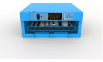 Incubadora 64 Huevos Doble Voltaje/humidificador Y Regalo