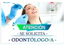 Odontologo/a