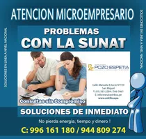 Contador Publico Estudio Contable  Auditor Consulta Gratis