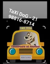 Táxi Dog