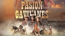 Novela Generica Pasion De Gavilanes