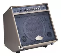 Amplificador Electroacustico Washburn Wa30 / Abregoaudio