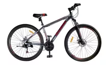 Bicicleta De Montaña Raleigh Okland R29 Pulgadas 