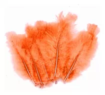 Pluma Gallo Color Naranja 15 Cm