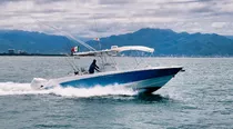 Boston Whaler 2005 