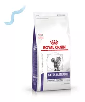 Royal Canin Weight Control 12k Gatos Castrados El Molino