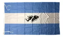Bandera Malvinas Argentinas 90x150cm - Oficial Reforzada