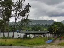 Yonny Silva Rentahouse Carabobo Vende Excelente Finca Avicola En Bejuma Rcys 24-13861