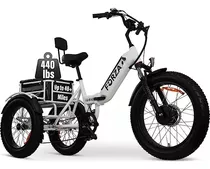  Malisa Electric Trike For Adults 3 Wheel Motorized 750w 