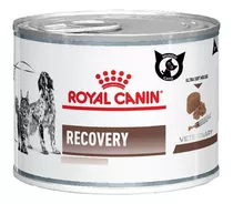 Royal Canin Recovery 195g - Mundo Gato