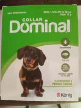 Collar Antipulgas Perro Chico Dominal Hasta 5 Kg