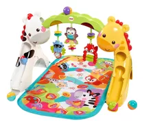 Fisher-price Baby Toy Gym Stages Cresce Comigo