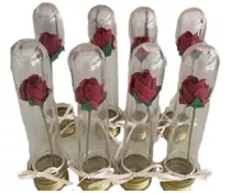 20 Tubo Golosinero 14 Cm Con Tapa Plateada Mas Rosa Porcelan