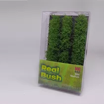 Pasto Estatico Real Bush Medium Rb 08 Summer Green