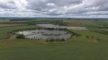 Fazendinha Região De Avaré  Para Lavoura Com  Irrigação Com 137,94 Ha Ou 57 Alqueires   , Rica Em Água