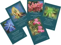 Cards  Florais De Bach As Flores De Bach 