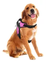 Arnes Para Perro Nylon Pechera Perro Grande Comoda / Ligera