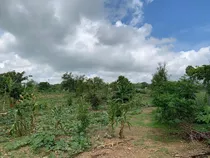 Vendo Finca 37 Tas Bonagua Moca Con Mejora Espaillat 