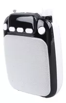 Amplificador De Voz Portátil Recargable Bluetooth Voice