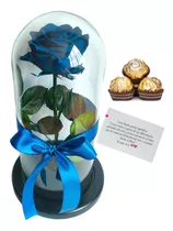 Rosa Preservada Eterna Feliz Dia + Tarjeta+ Ferrero + Envio