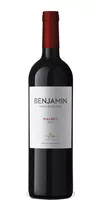 Vino Benjamín Nieto Malbec De Nieto Senetiner