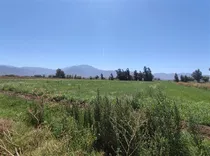 Terreno Agrícola En Venta Curacaví