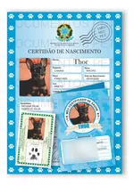 Certidão De Nascimento + Rg + Cartão De Vacina | Já Impresso
