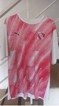 Camiseta Remera Entrenamiento Cai Independiente Puma