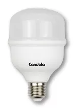 Lampara Led High Power 40 Watts = 220 Watts Fria Candela