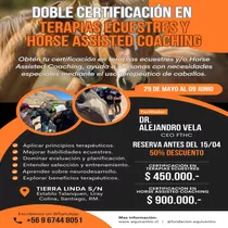 Certificación Equinoterapia -transforma Vidas Con Caballos.