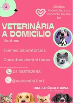 Veterinária A Domicílio Rj