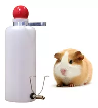 Bebedouro 500 Ml Chinchila Coelho Porquinho Da Índia Hamster