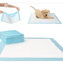 Pañal Para Perros Y De Entrenamiento Piso Absorbente 