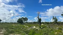 Venta Terreno En Punta Cana, Cerca De Ciudad La Palma