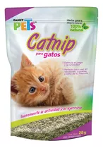 Catnip P/gatos 28 Grs