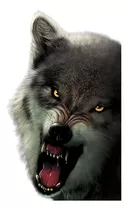 Noche Y Lobo Lenticular 3d Picture Animal Poster Pintura Hom