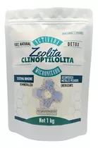 Zeolita Activada Y Micronizada 1 Kg 