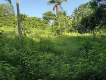 Terreno En Venta En Sierra Prieta Carretera Villa Mella-yamasa, A 6 Km De La Av. Circunvalación De Santo Domingo 