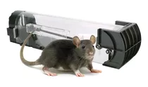 Jaula Trampa Ratas Ratones Tubular Inteligente 100% Eficaz