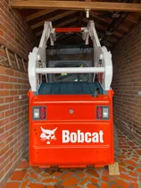 Bobcat